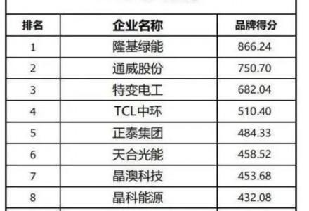 隆基绿能斩获全球光伏品牌两项第一