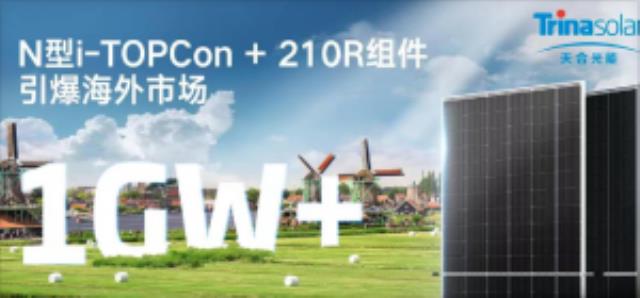 超1GW订单！天合N型i-TOPCon + 210R组件引爆海外市场