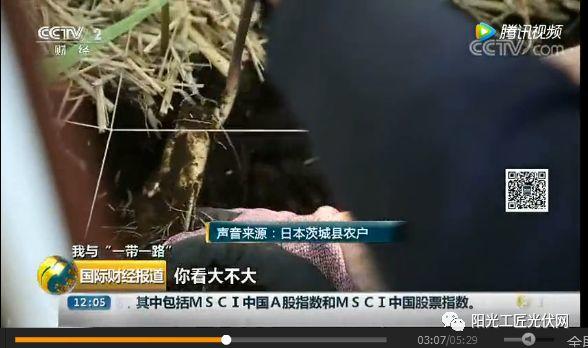 CCTV2《我与“一带一路”》：30MW ，日本最大“农光互补”光伏电站中国造 ！当地农民增收10倍 ！